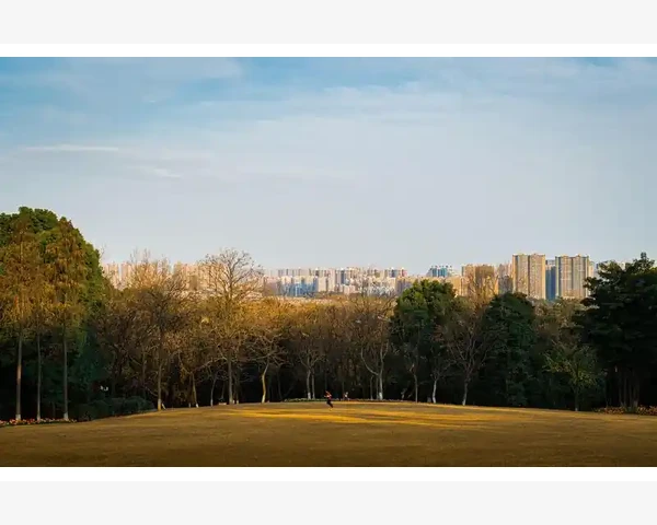 调养气血，让身心焕发健康之光