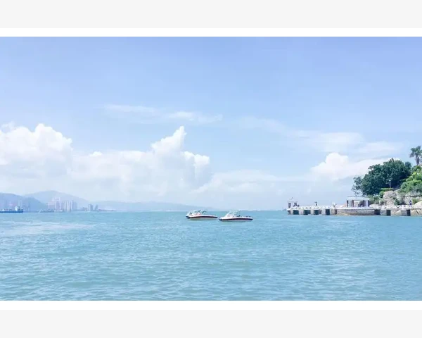 调养肾脾胃，中医养生之道修身养性，助你远离疾病困扰！